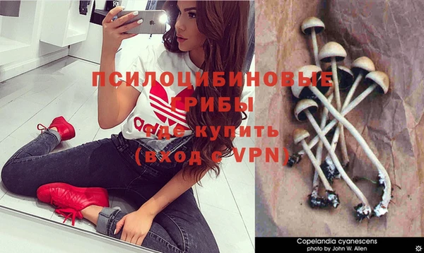 ГАЛЛЮЦИНОГЕННЫЕ ГРИБЫ Белоозёрский