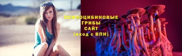 тгк Белокуриха