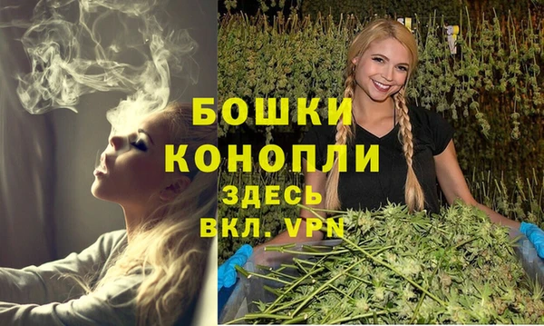 тгк Белокуриха