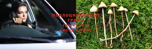 ГАЛЛЮЦИНОГЕННЫЕ ГРИБЫ Белоозёрский